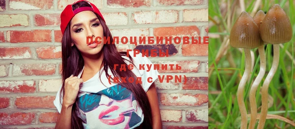 скорость Алексин