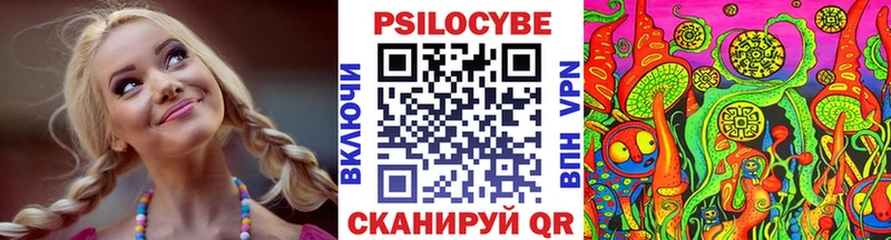 купить наркотик  Солнечногорск  Галлюциногенные грибы GOLDEN TEACHER 